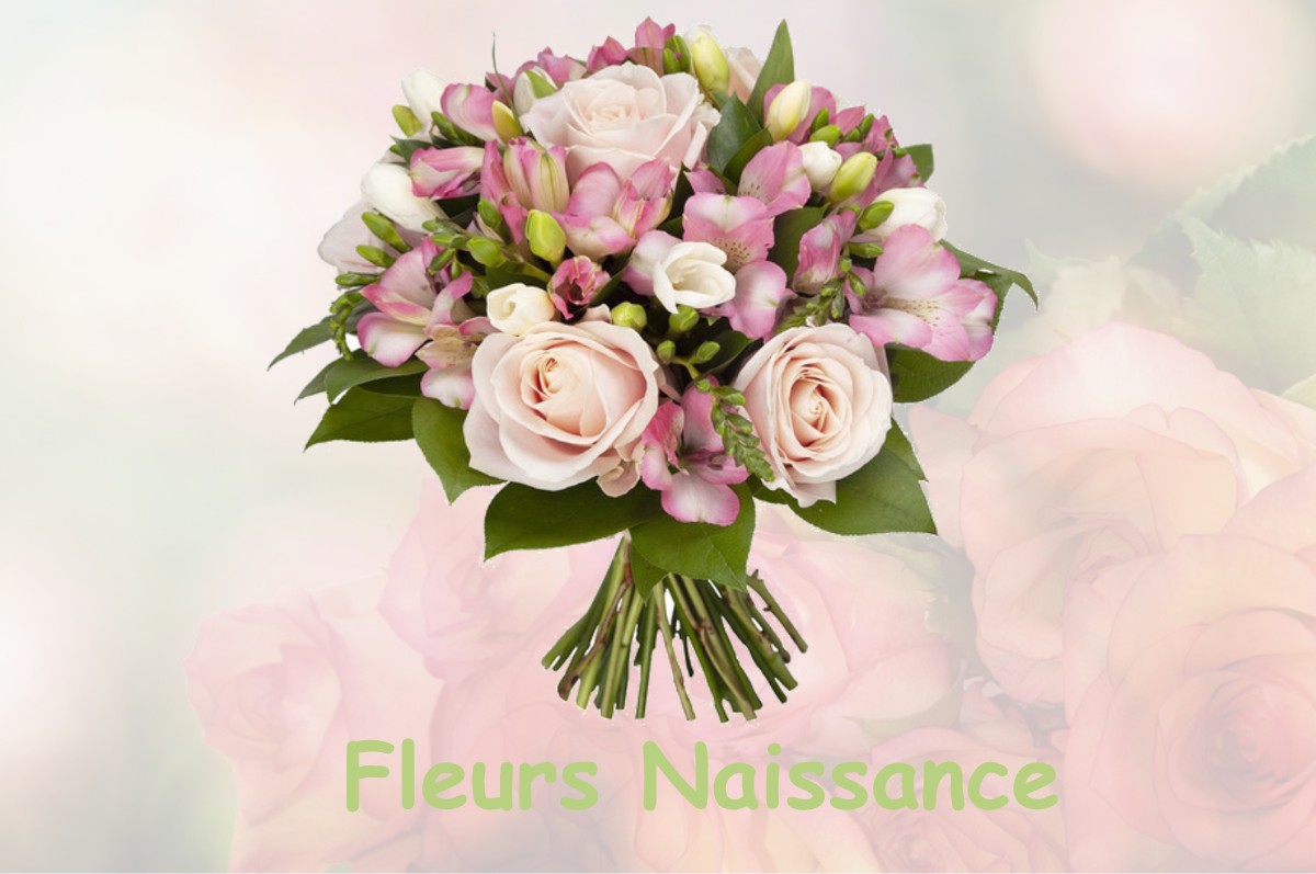 fleurs naissance VALEMPOULIERES