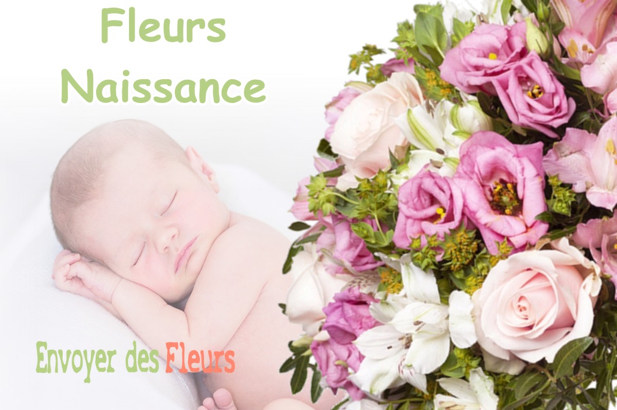 lIVRAISON FLEURS NAISSANCE à VALEMPOULIERES