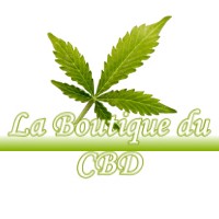 LA BOUTIQUE DU CBD VALEMPOULIERES 